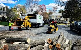 Best Tree Trimming and Pruning  in Brownwood, TX