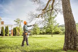 Best Emergency Tree Removal  in Brownwood, TX